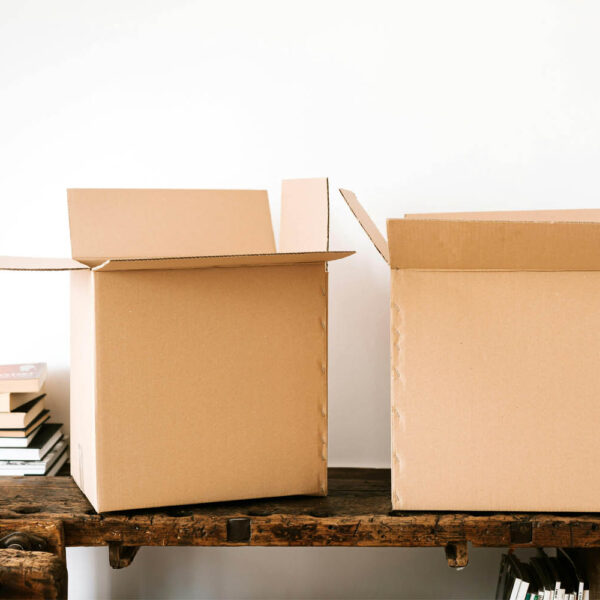 Mastering the Move: Essential Tips and Must-Knows for Apartment Hunting and Settling In