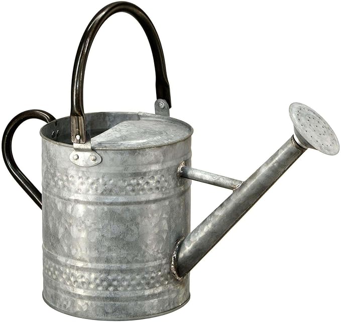 Watering Can - Alagu Home