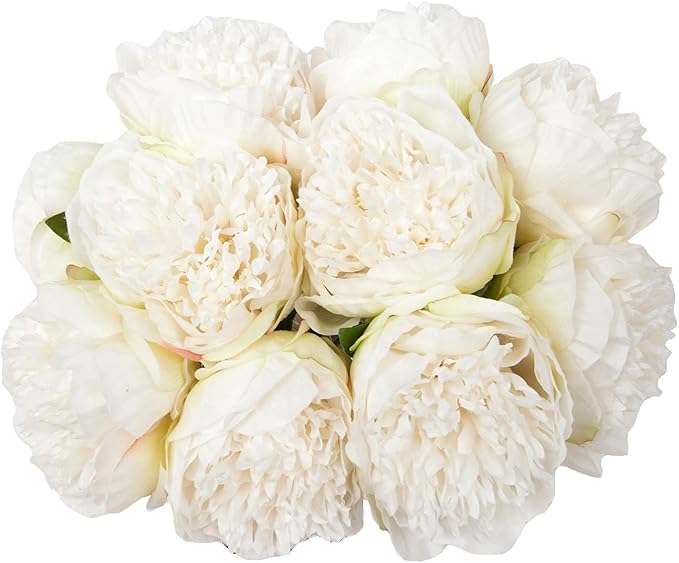 Peonies - Alagu Home