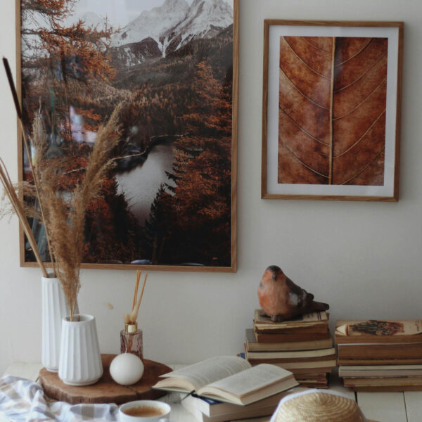 Top Home Decor Fall Trends for 2024